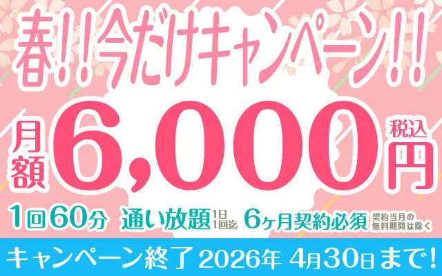 春！！今だけキャンペーン！！