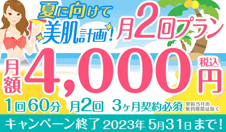 夏に向けて美肌計画！月2回4000円プラン