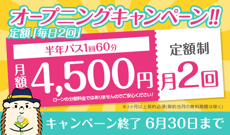 オープニングキャンペーン！定額「毎月2回」4,500円