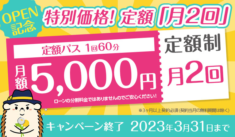OPEN記念 特別価格! 定額「月2回」(1回60分)★月額5,000円