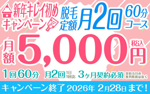 【新年キレイ初めキャンペーン】脱毛定額「月2回60分コース」